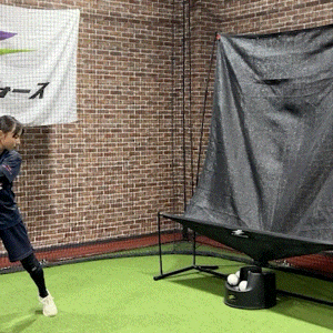 Softball Auto-Return Net Set